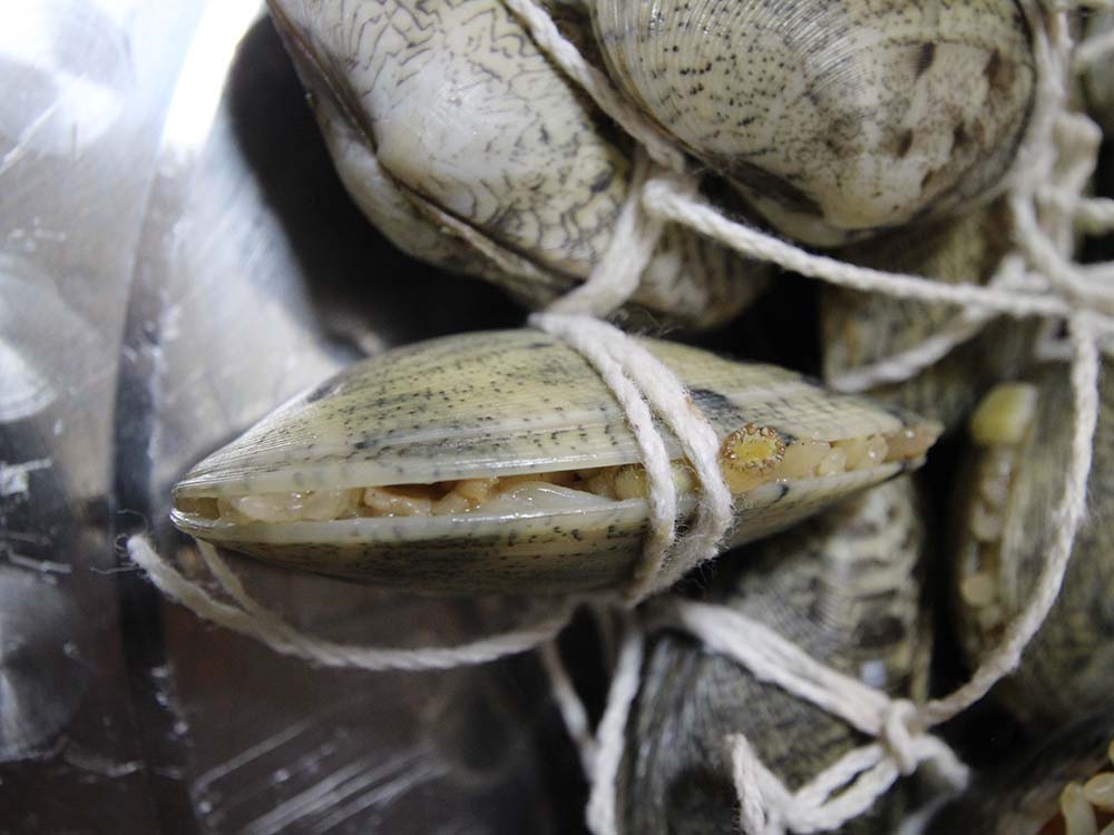 2018大蛤仔飯記錄