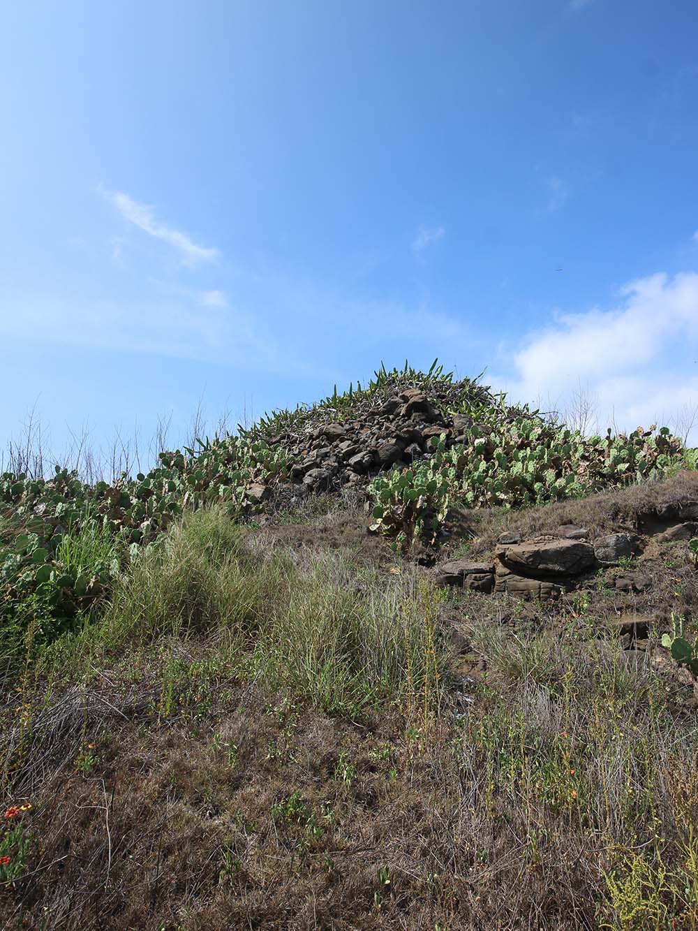 2018嵵裡里塔記錄