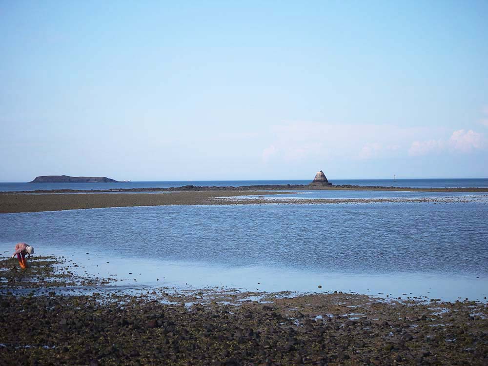 2018白坑村黑礁記錄