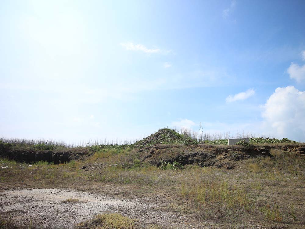 2018嵵裡里塔記錄