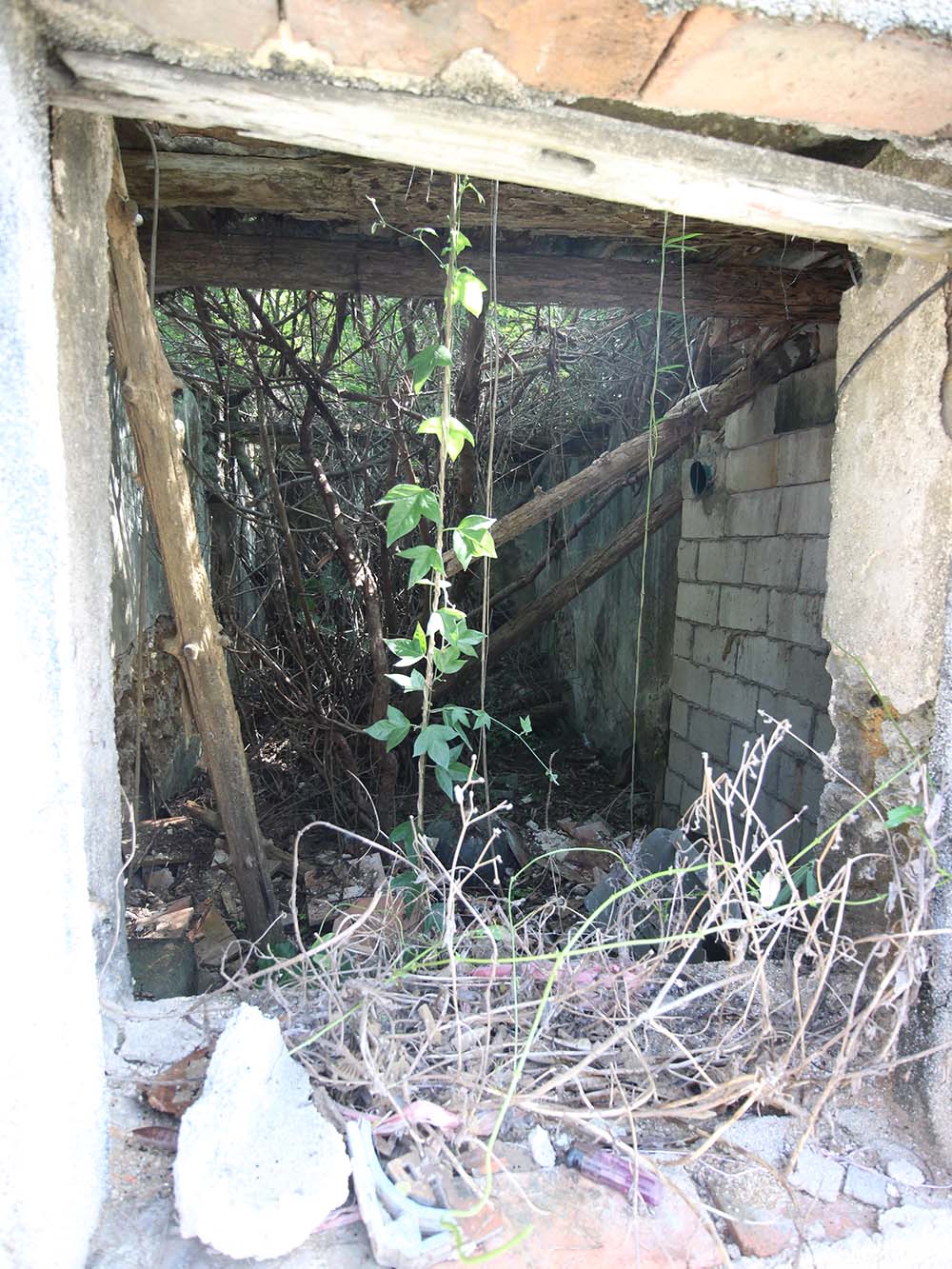 許氏(錦長興)商號港子村〇號