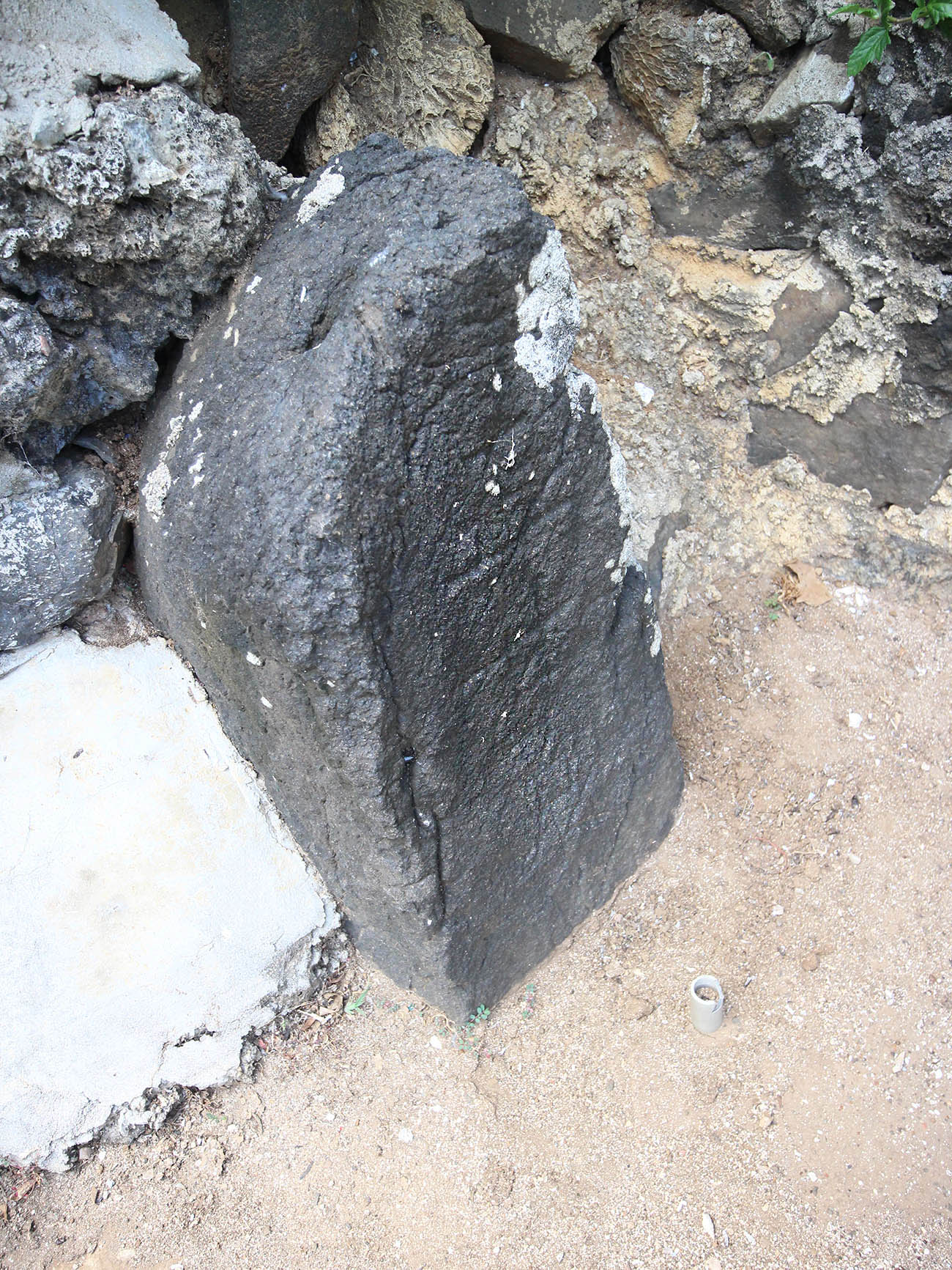 2018正甘泉萬代井記錄