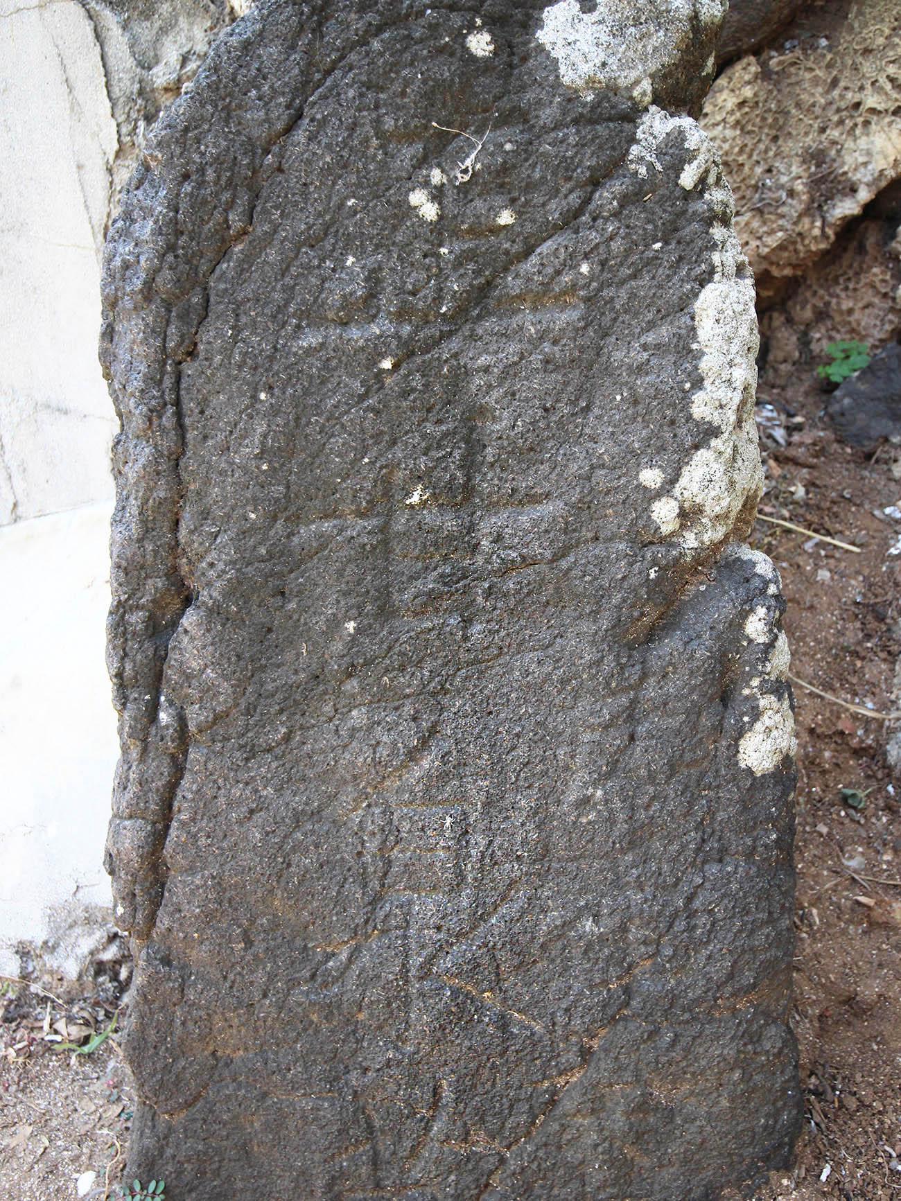 2018正甘泉萬代井記錄