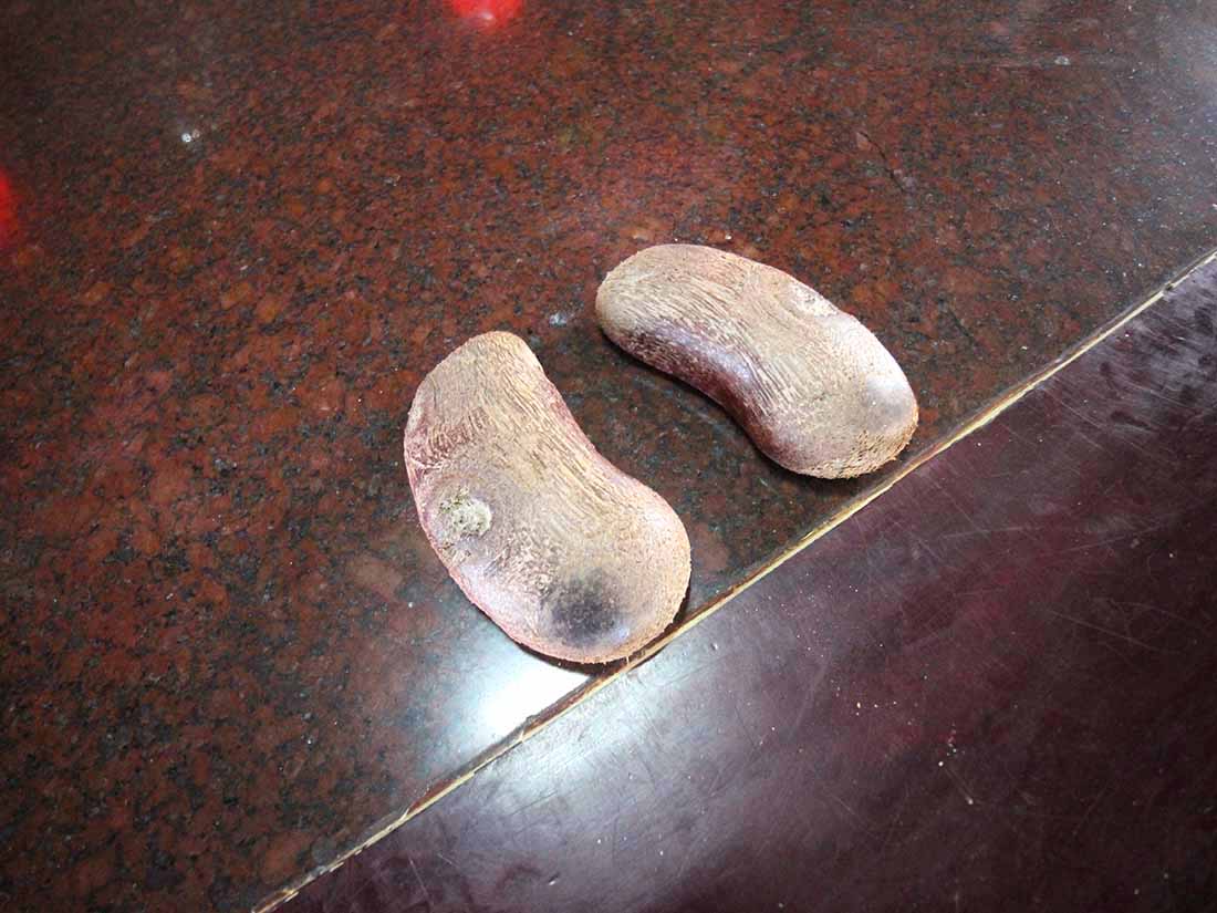 2018文衡聖帝殿記錄