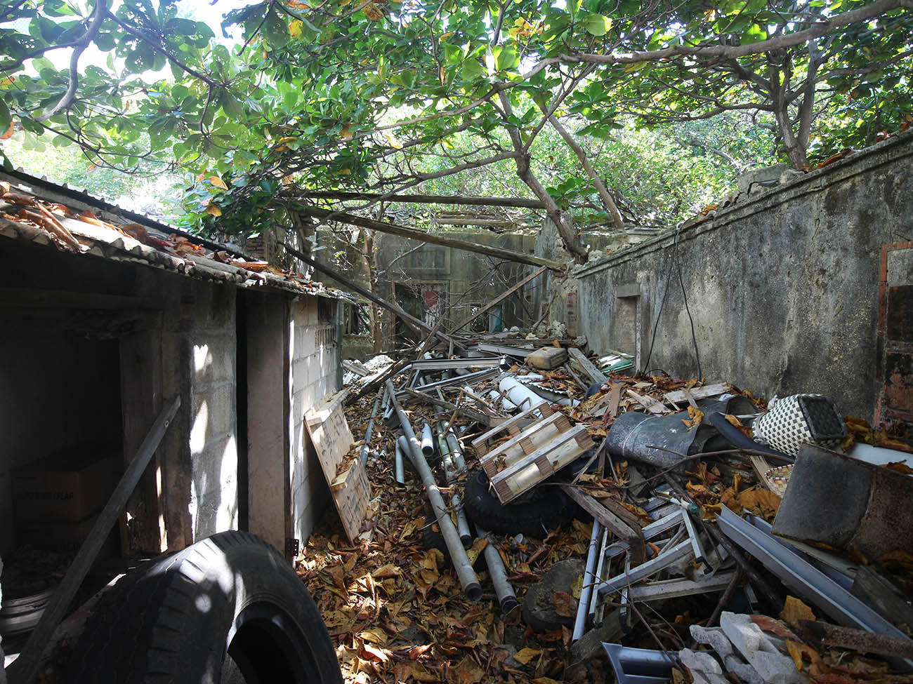 2018楊氏古宅記錄