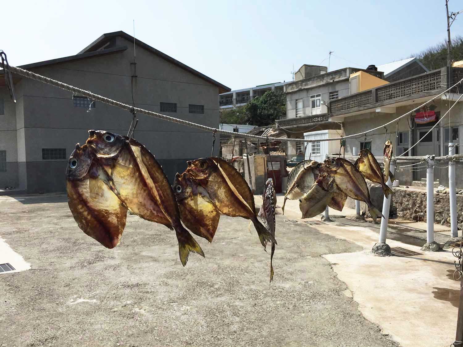 花嶼村曬魚乾