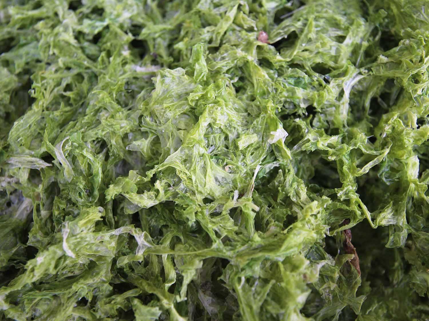 海菜乾龍門海菜乾包裝