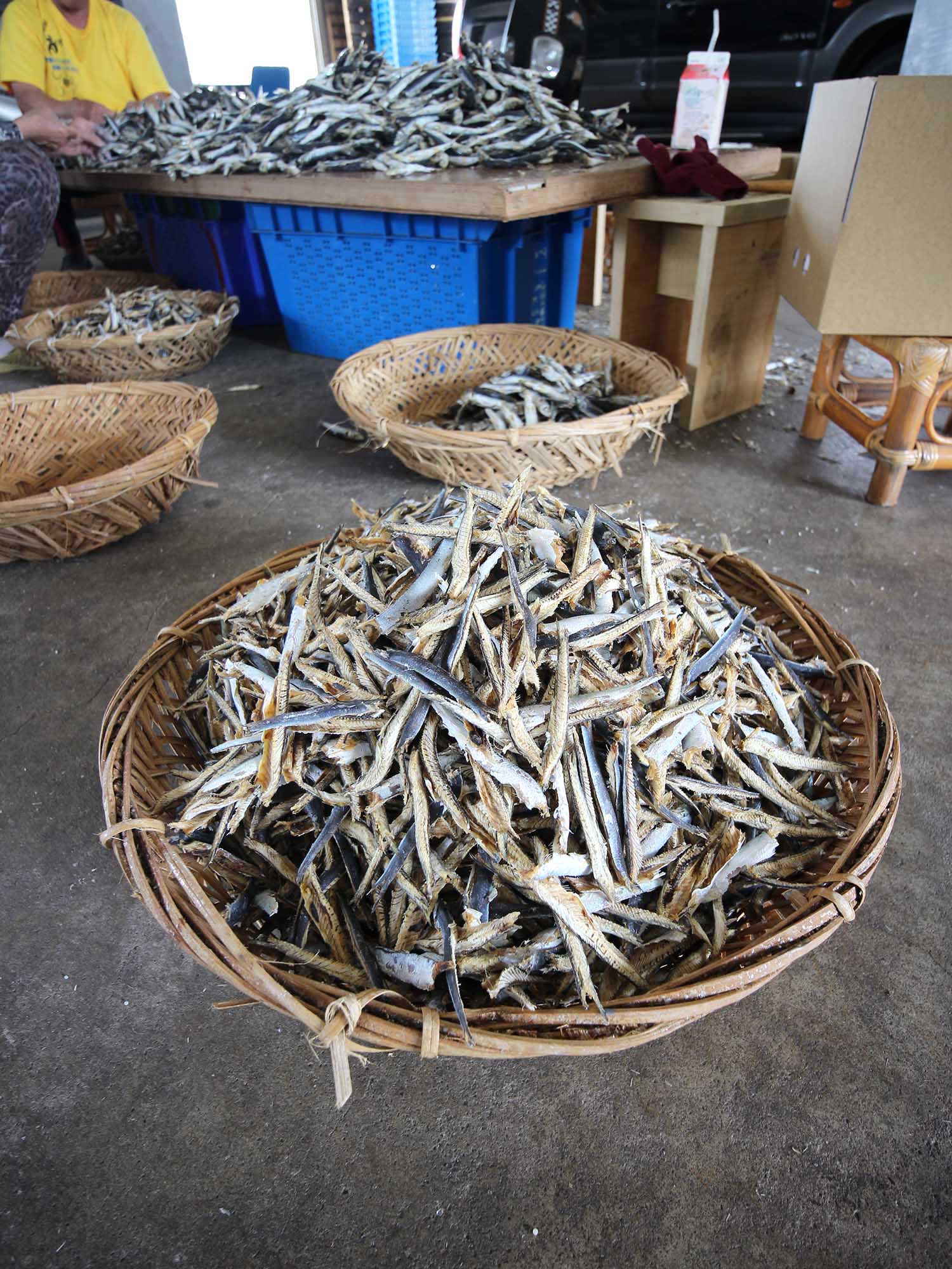 漁工新村臭肉魚加工
