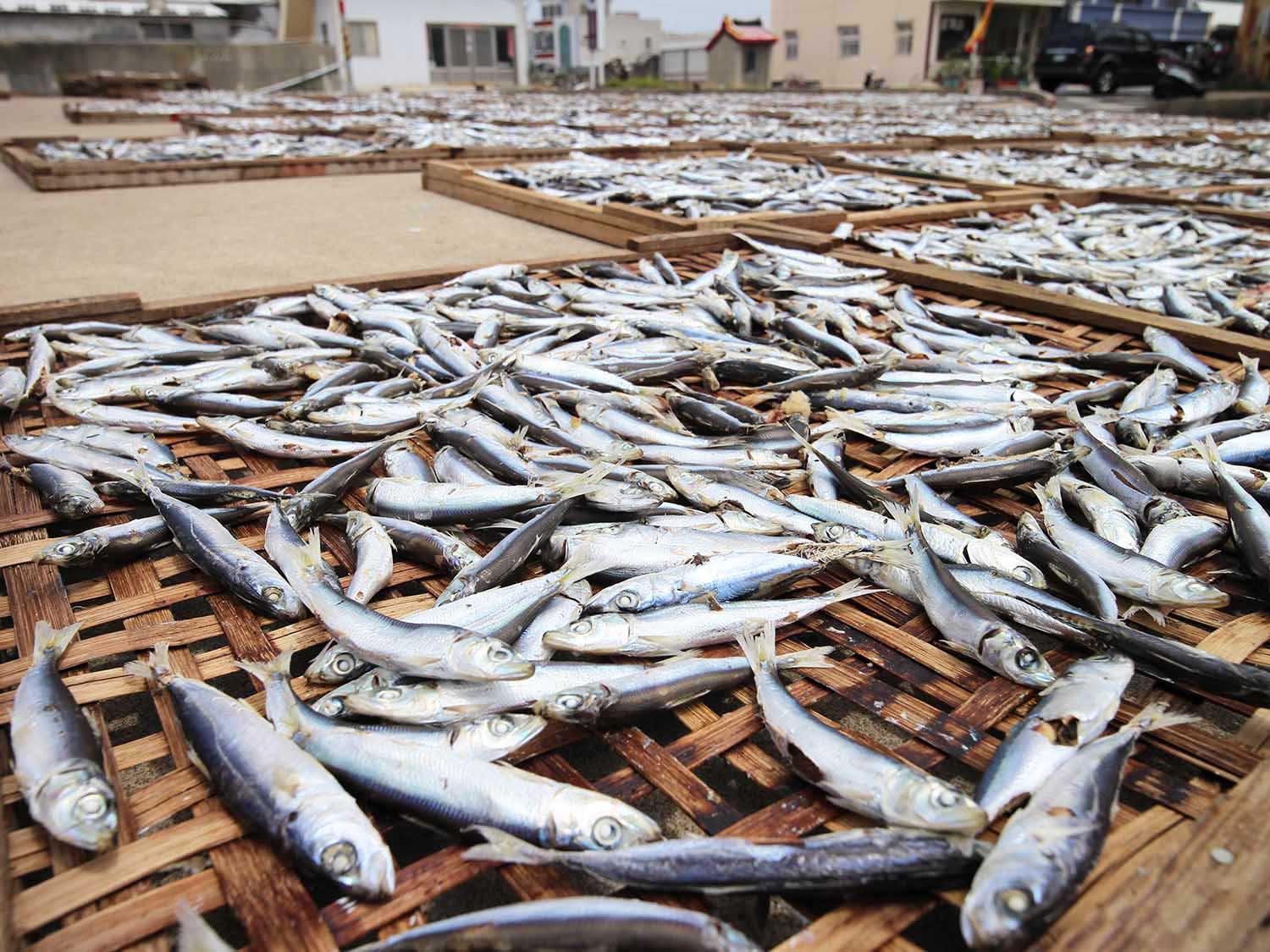 漁工新村臭肉魚加工