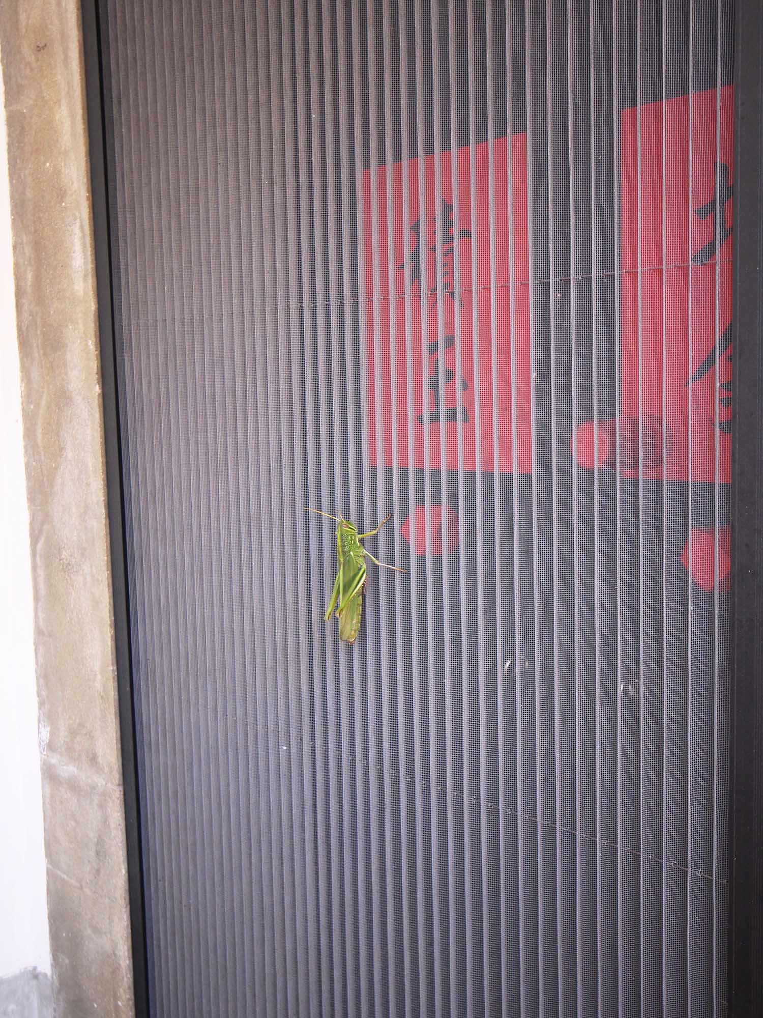 2018許監督古宅記錄