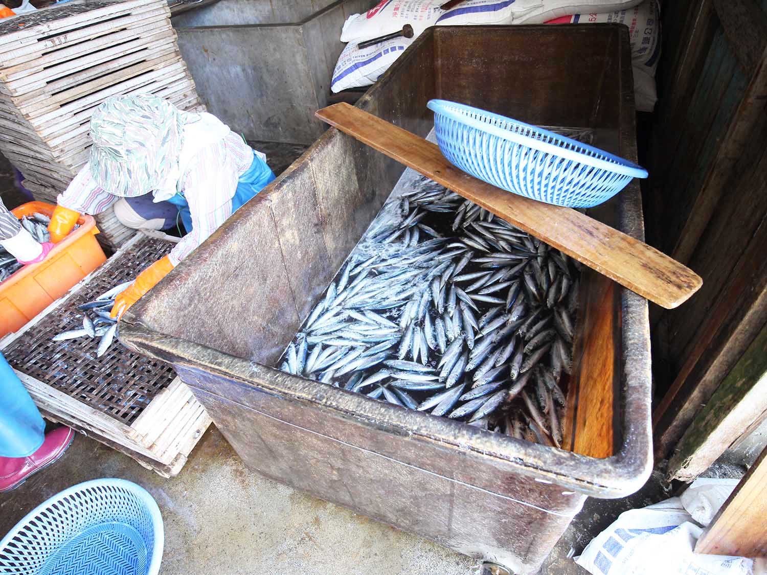 臭肉魚加工嵵裡里漁工新村〇號