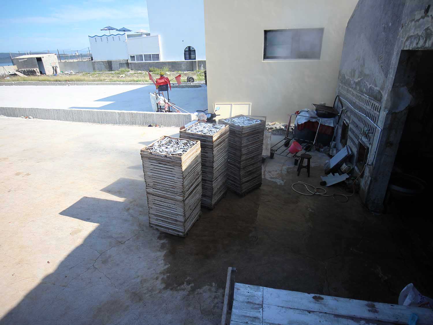 臭肉魚加工嵵裡里漁工新村〇號