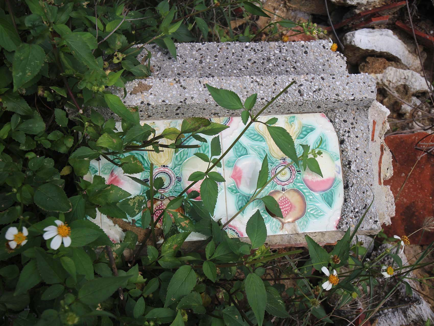 桶盤顏氏古厝桶盤里〇號