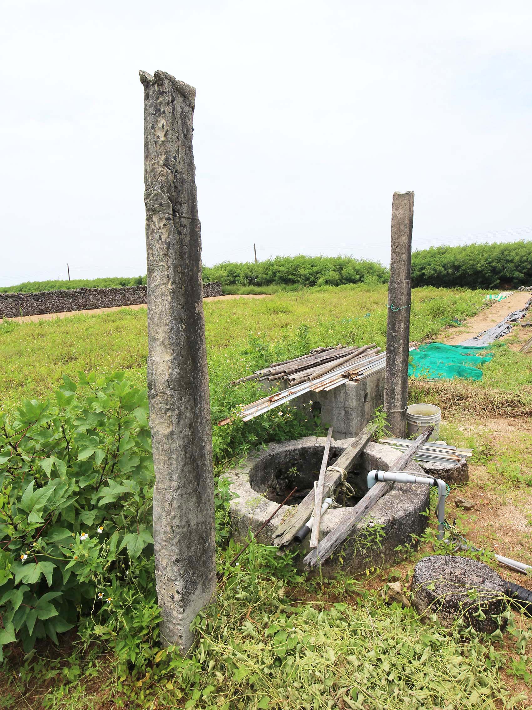 菓葉村轆轤記錄3號