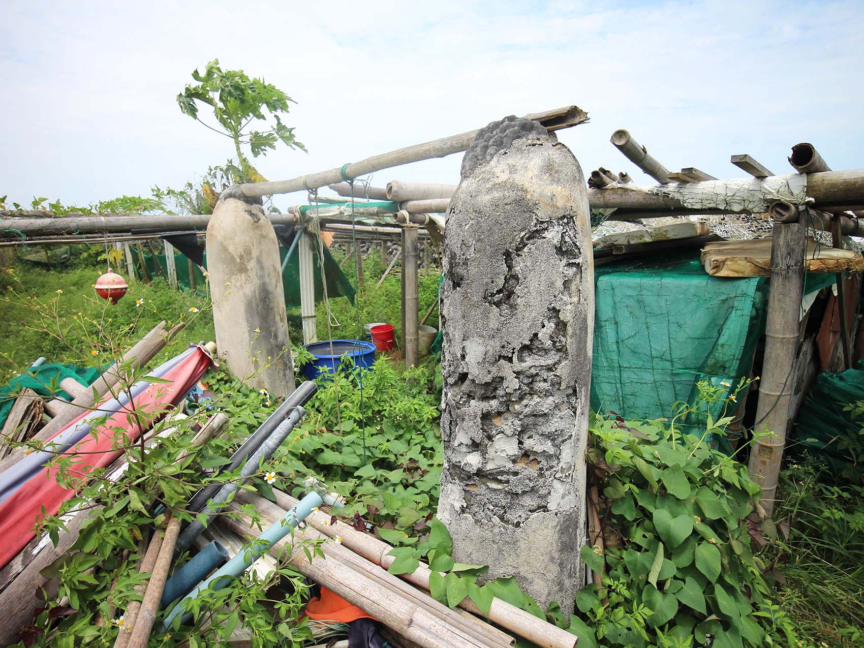 菓葉村轆轤記錄1號