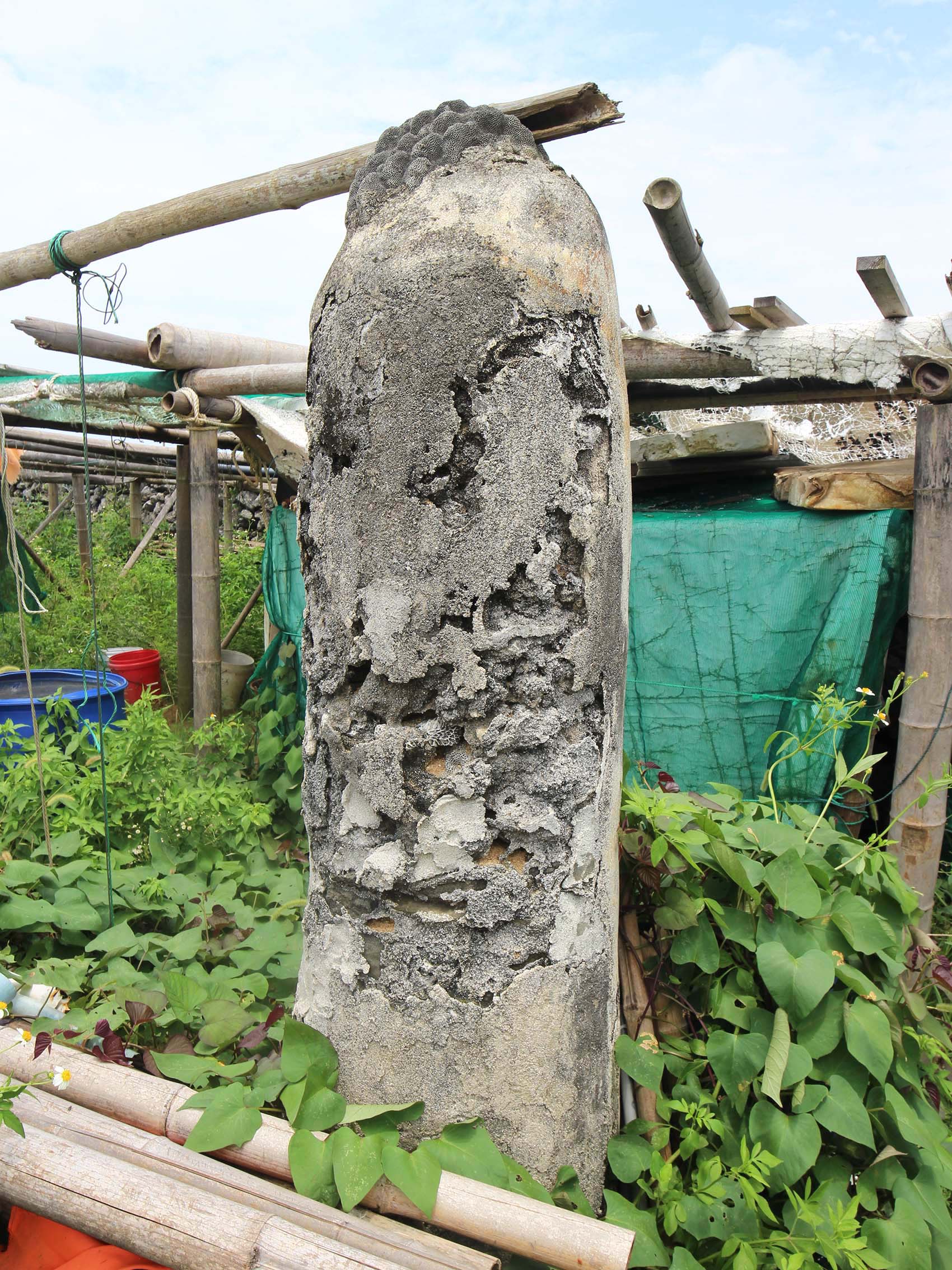 菓葉村轆轤記錄1號