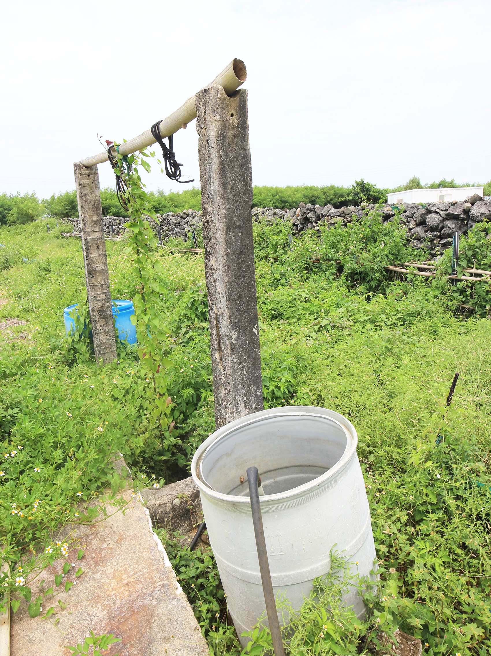 菓葉村轆轤記錄2號