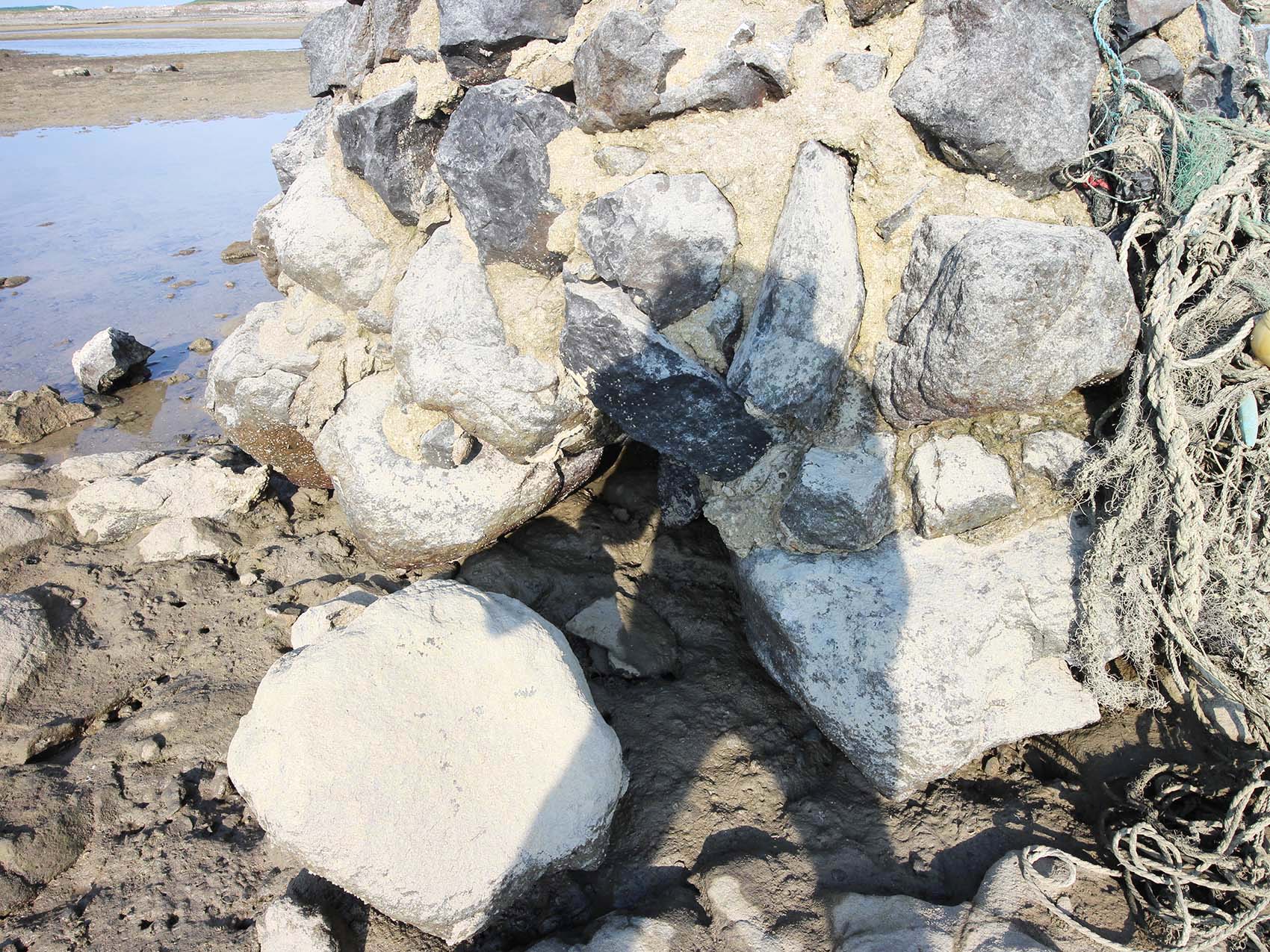 2019紅羅村塔記錄