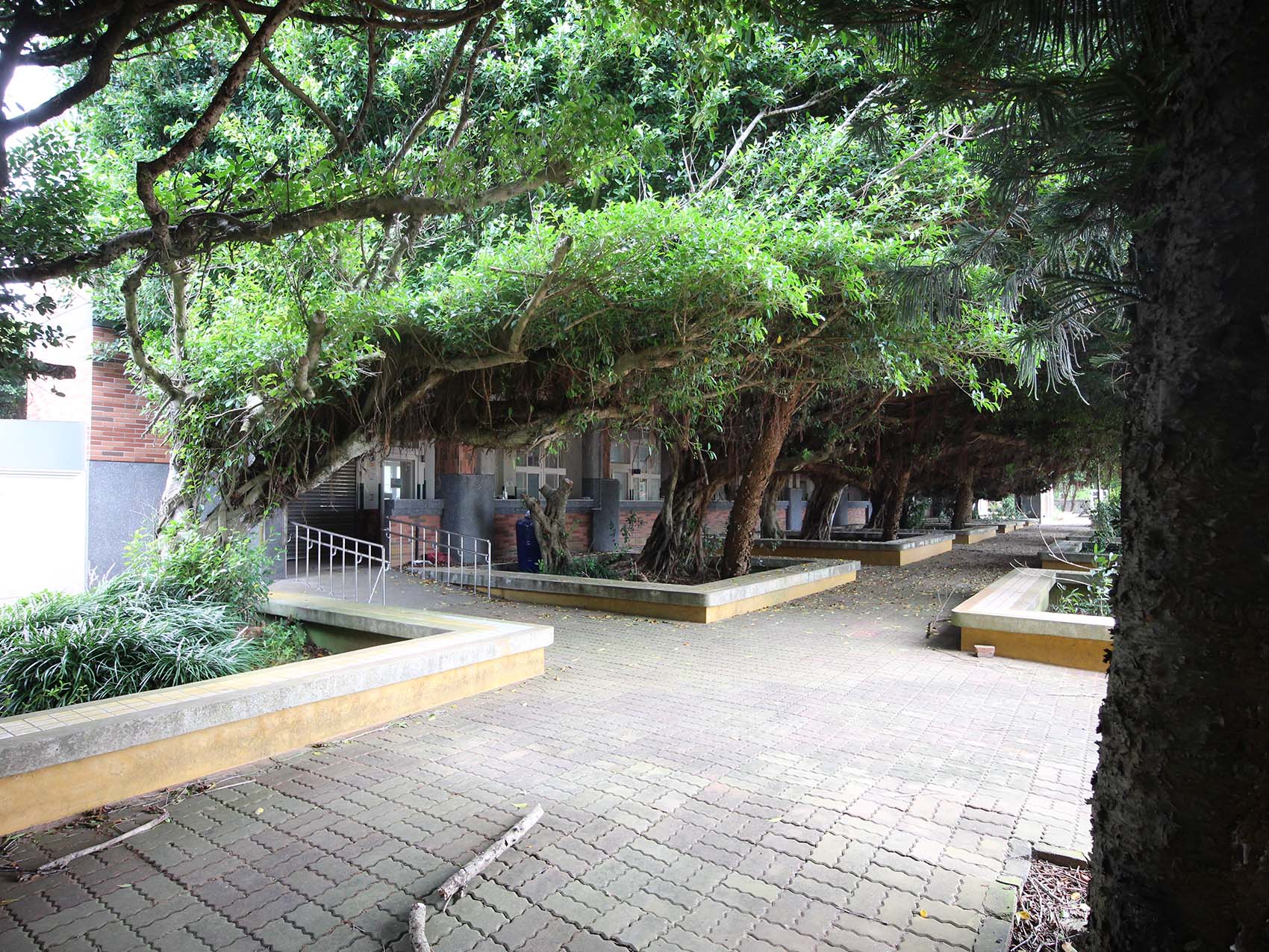 2019志清國中記錄