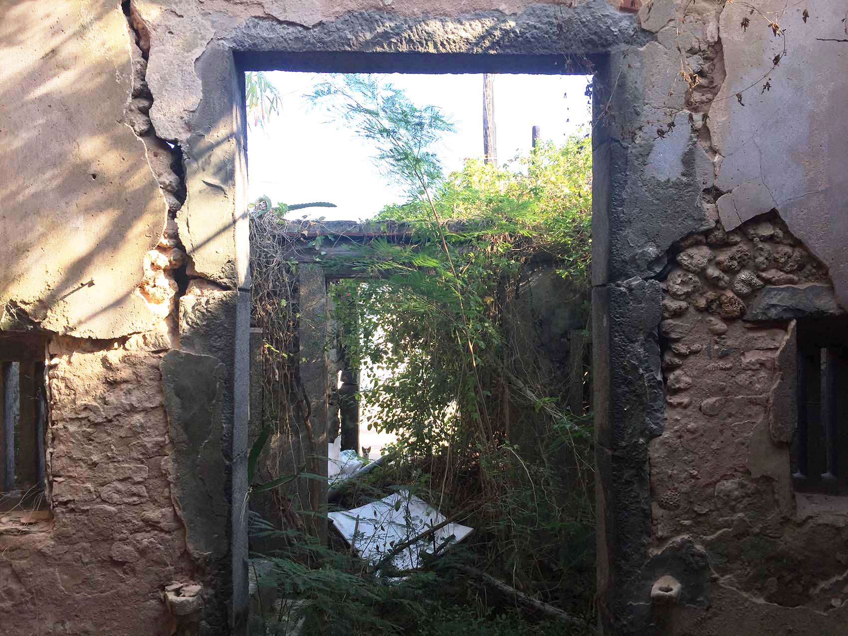 竹灣柯氏古厝竹灣村〇號