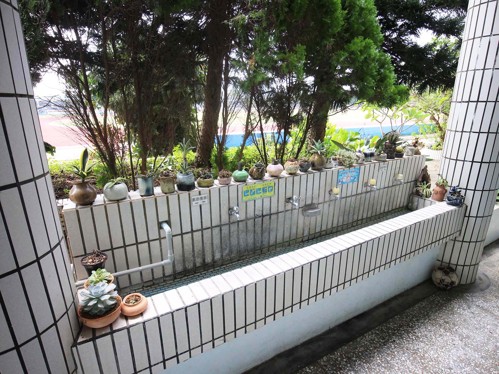 2019西溪國小記錄