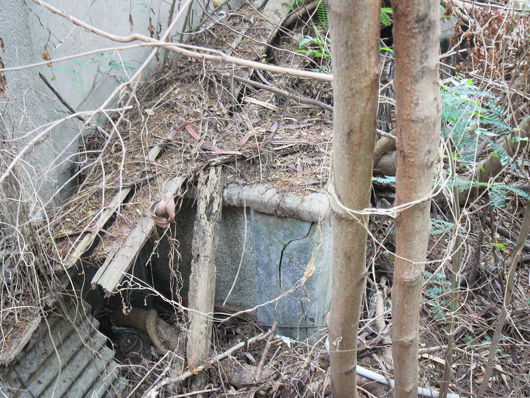 大池顏氏古厝18號