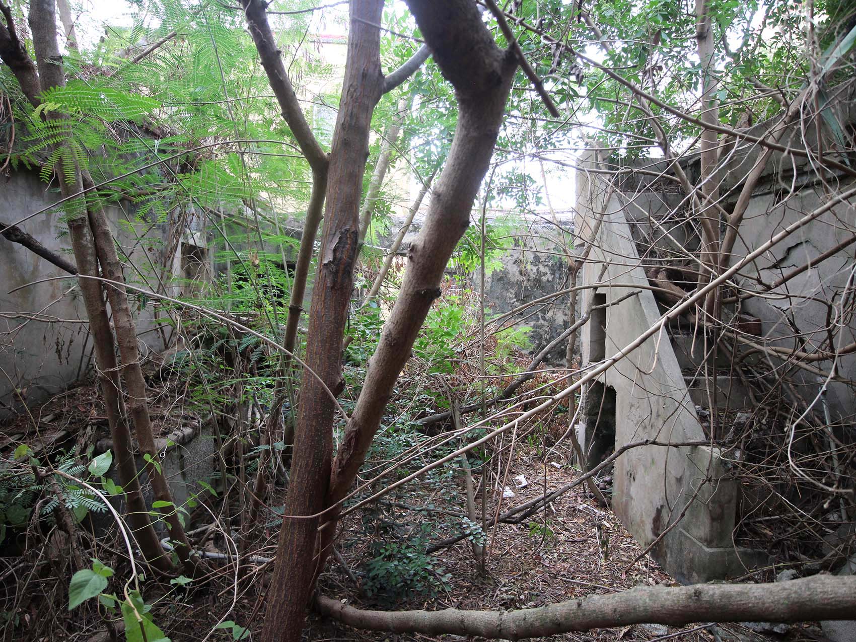 大池顏氏古厝18號