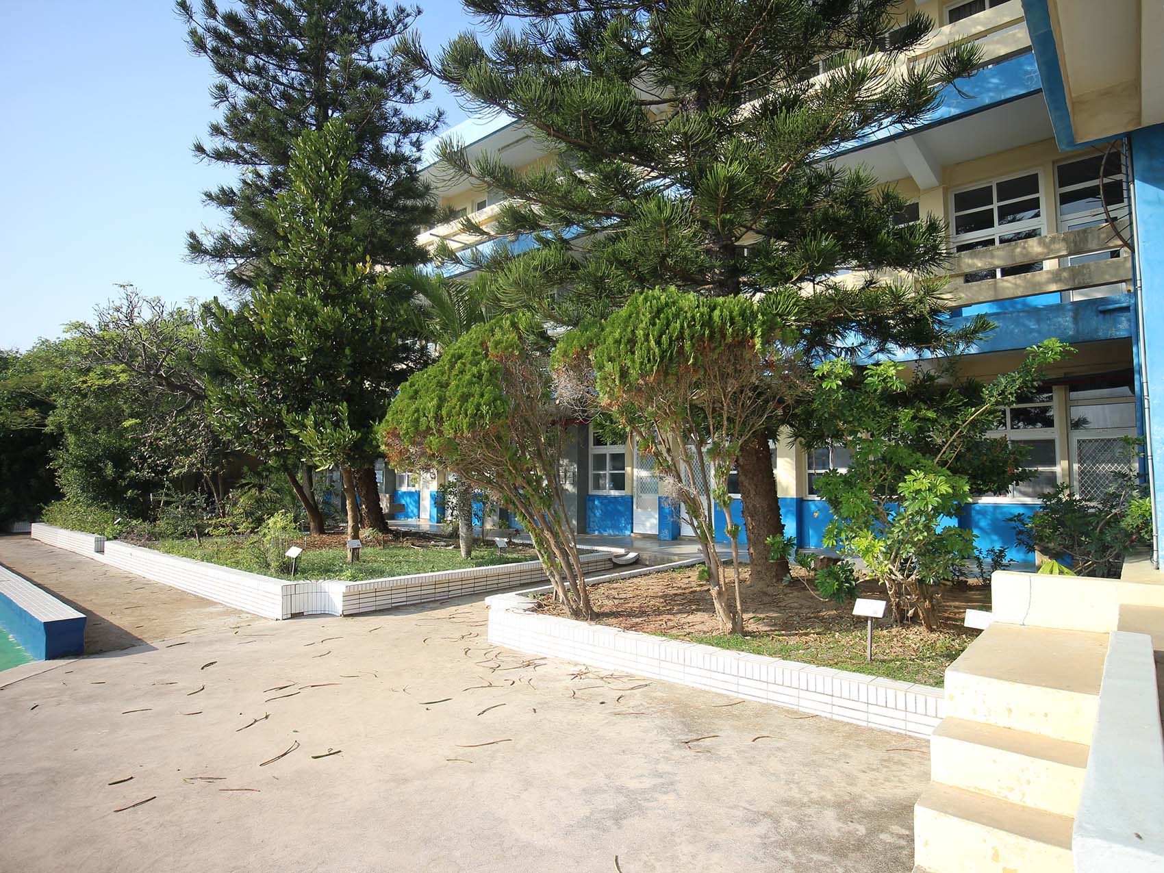 2020龍門國小記錄