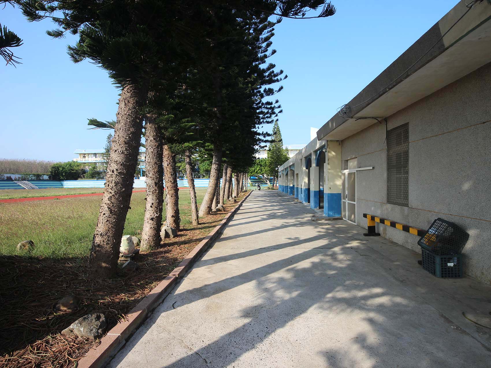 2020龍門國小記錄