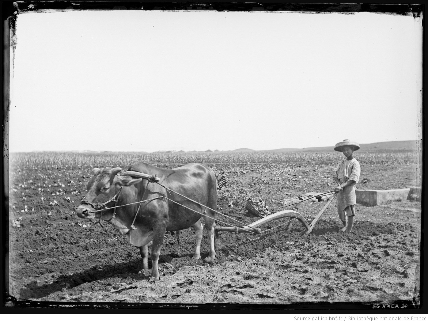 Pescadores. Laboureur chinois