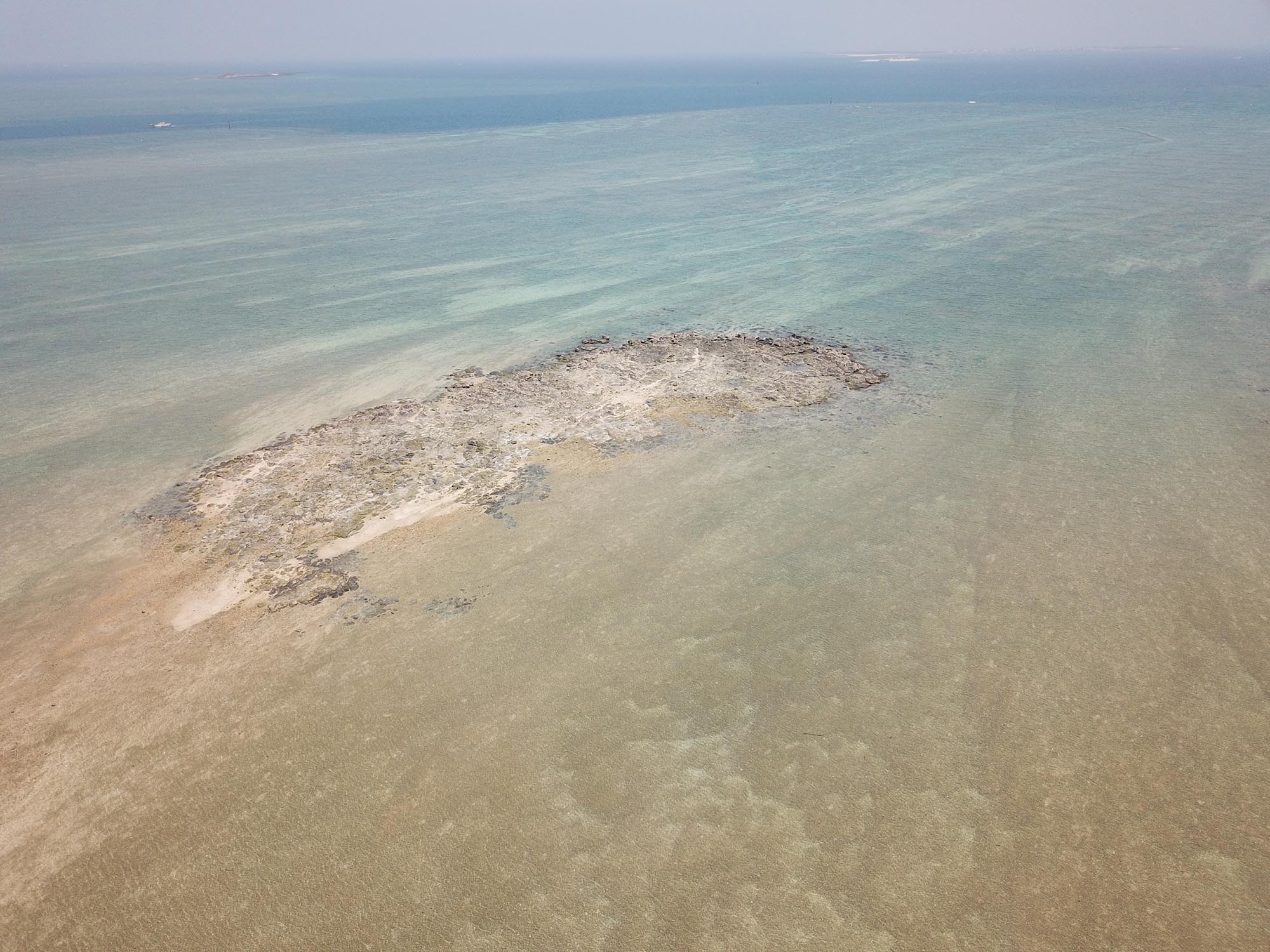 2020龍頭礁大漢礁中礁記錄