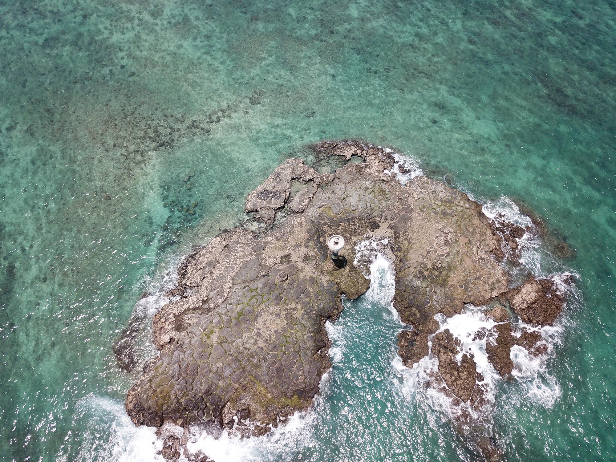 2020大燈火礁記錄