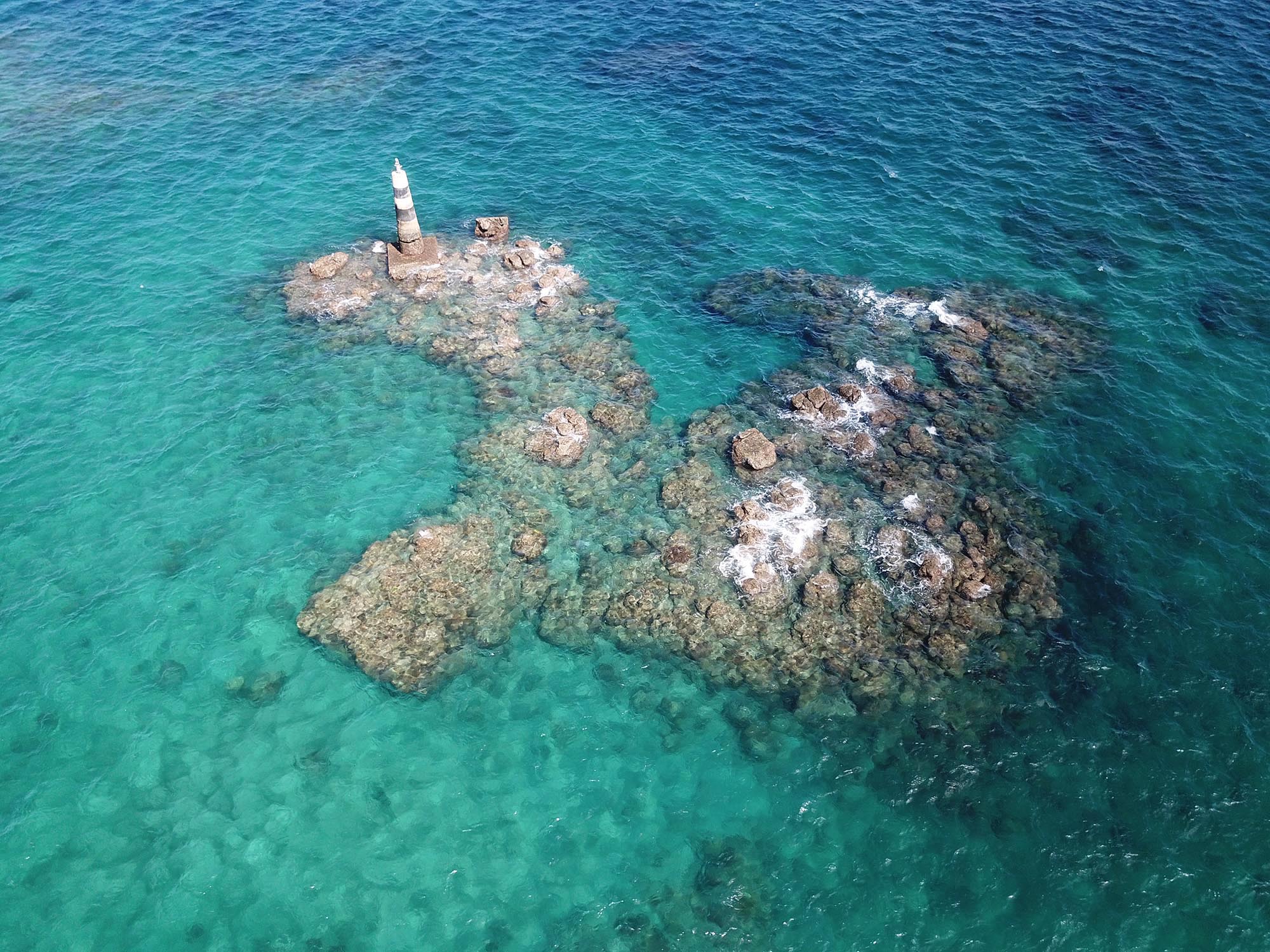 2020十二齒仔記錄