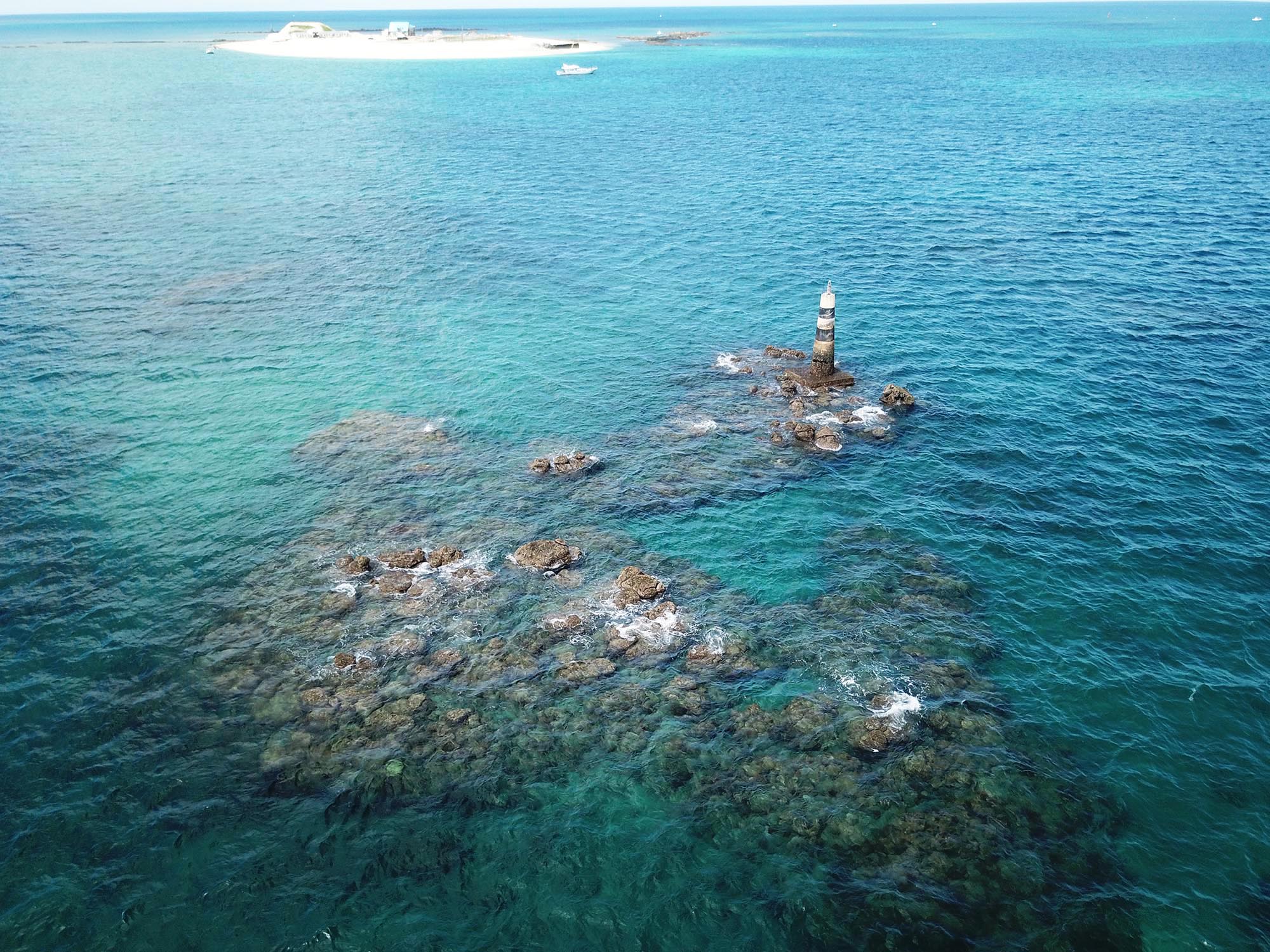 2020十二齒仔記錄