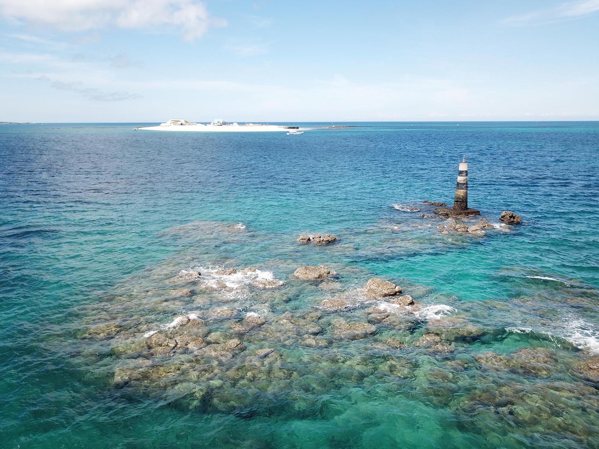 2020十二齒仔記錄