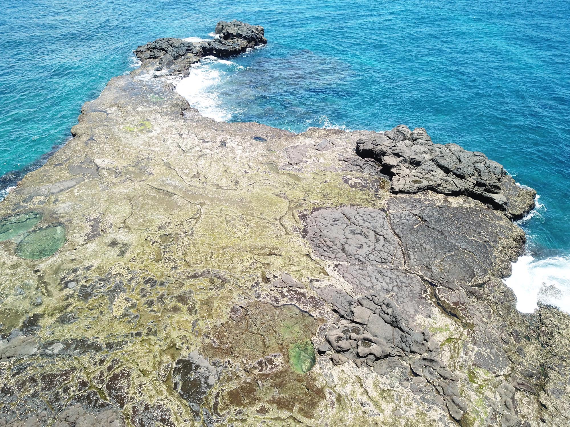 2020船帆嶼塭記錄