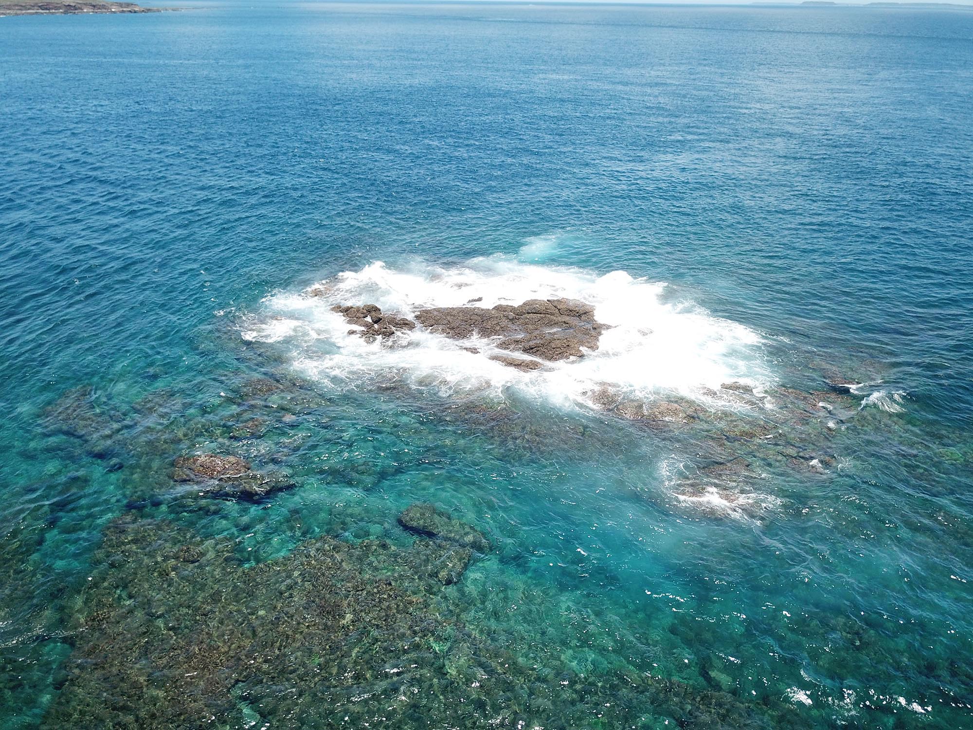 2020船帆嶼塭記錄