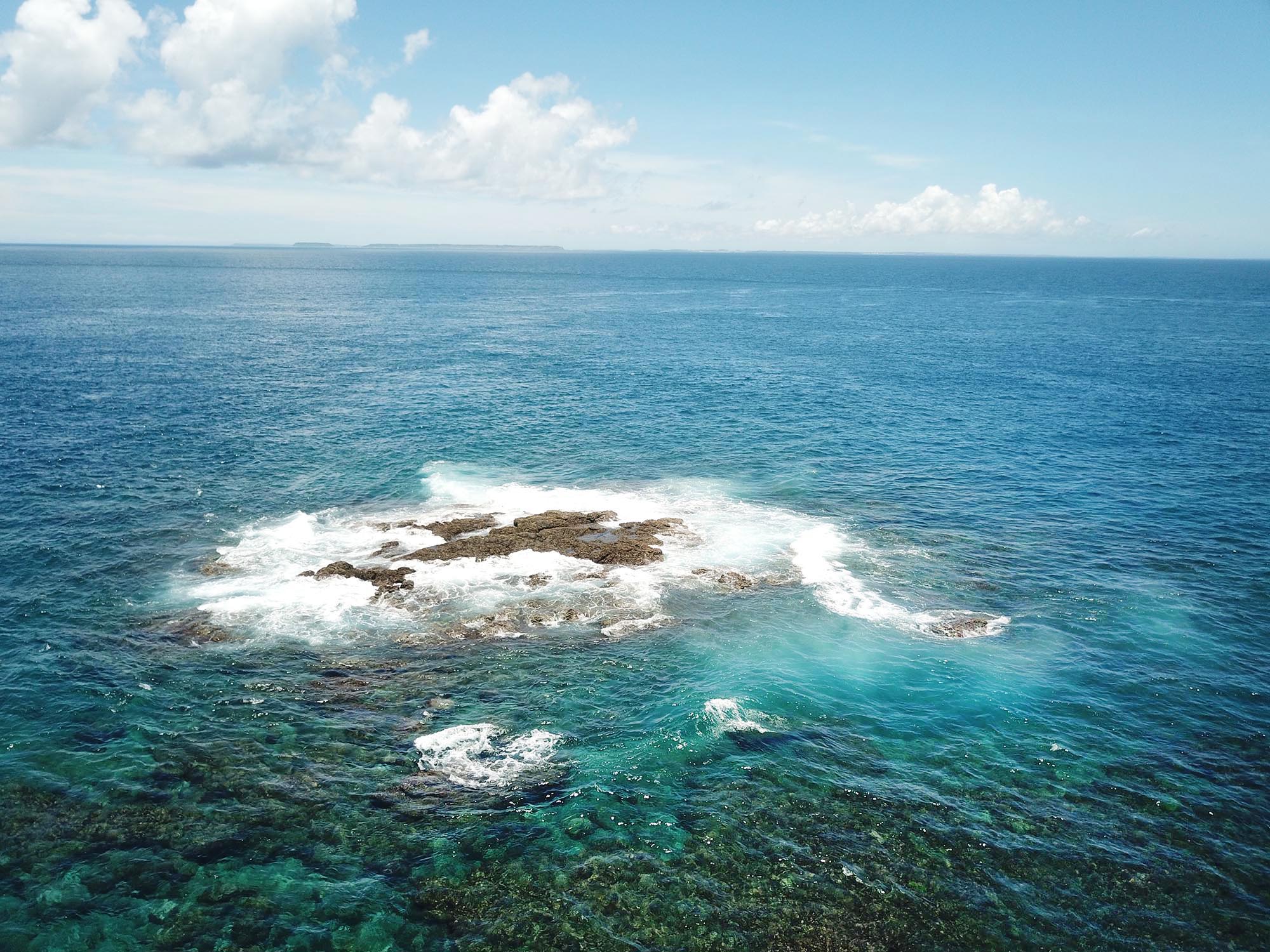 2020船帆嶼塭記錄