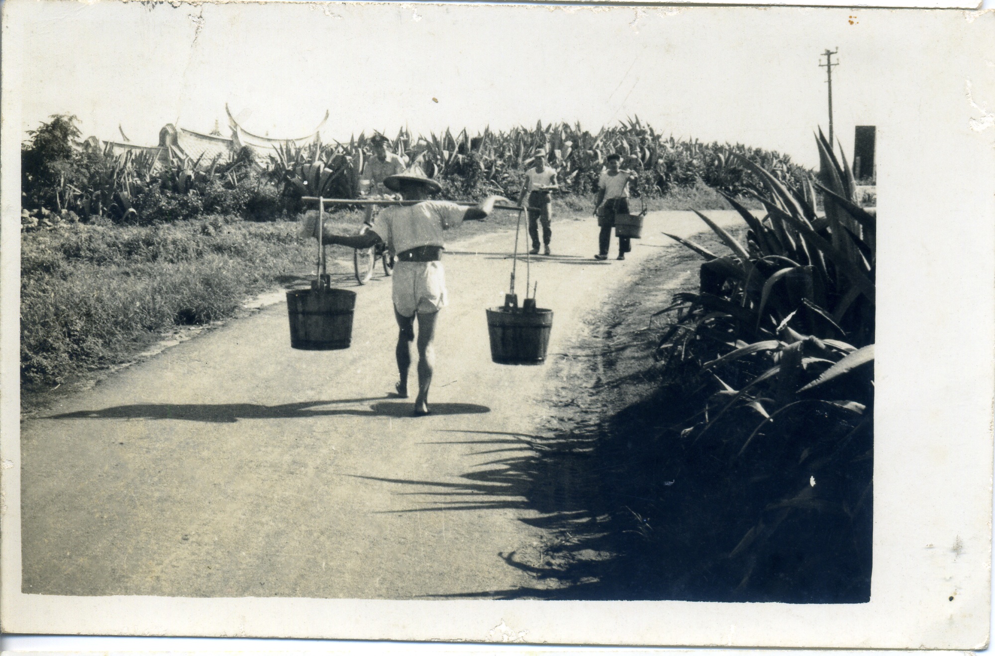 短鑱劚草入詩景