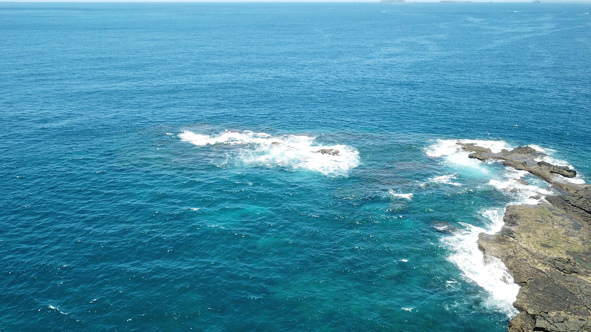 2020船帆嶼塭記錄