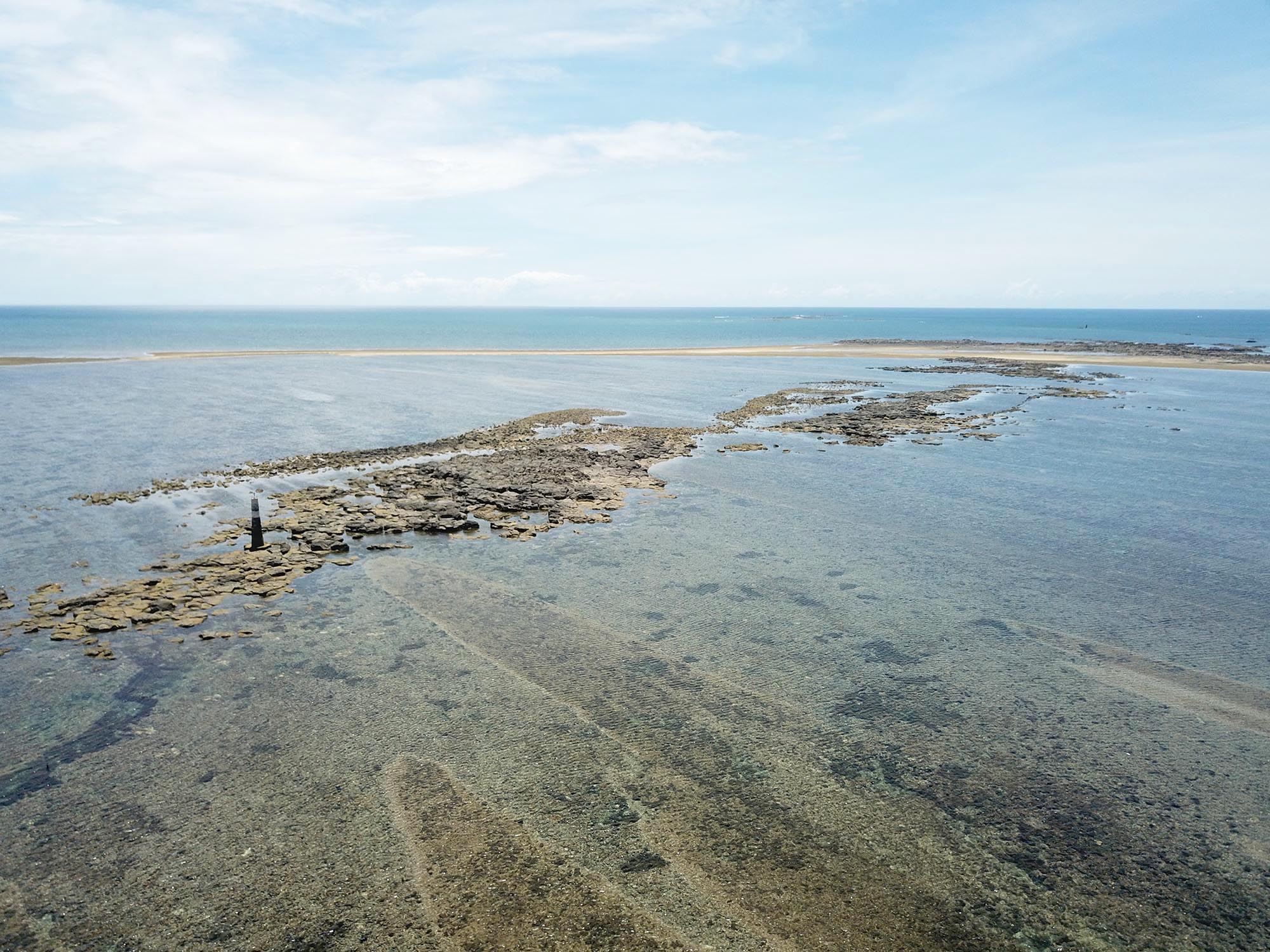 2020長岸仔礁記錄