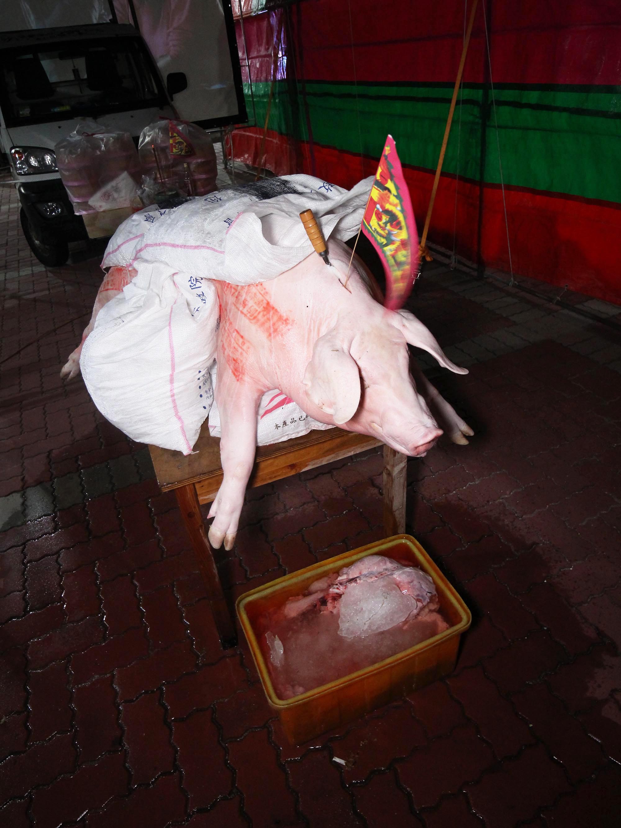 2020震義宮普渡(西嶼輪普)