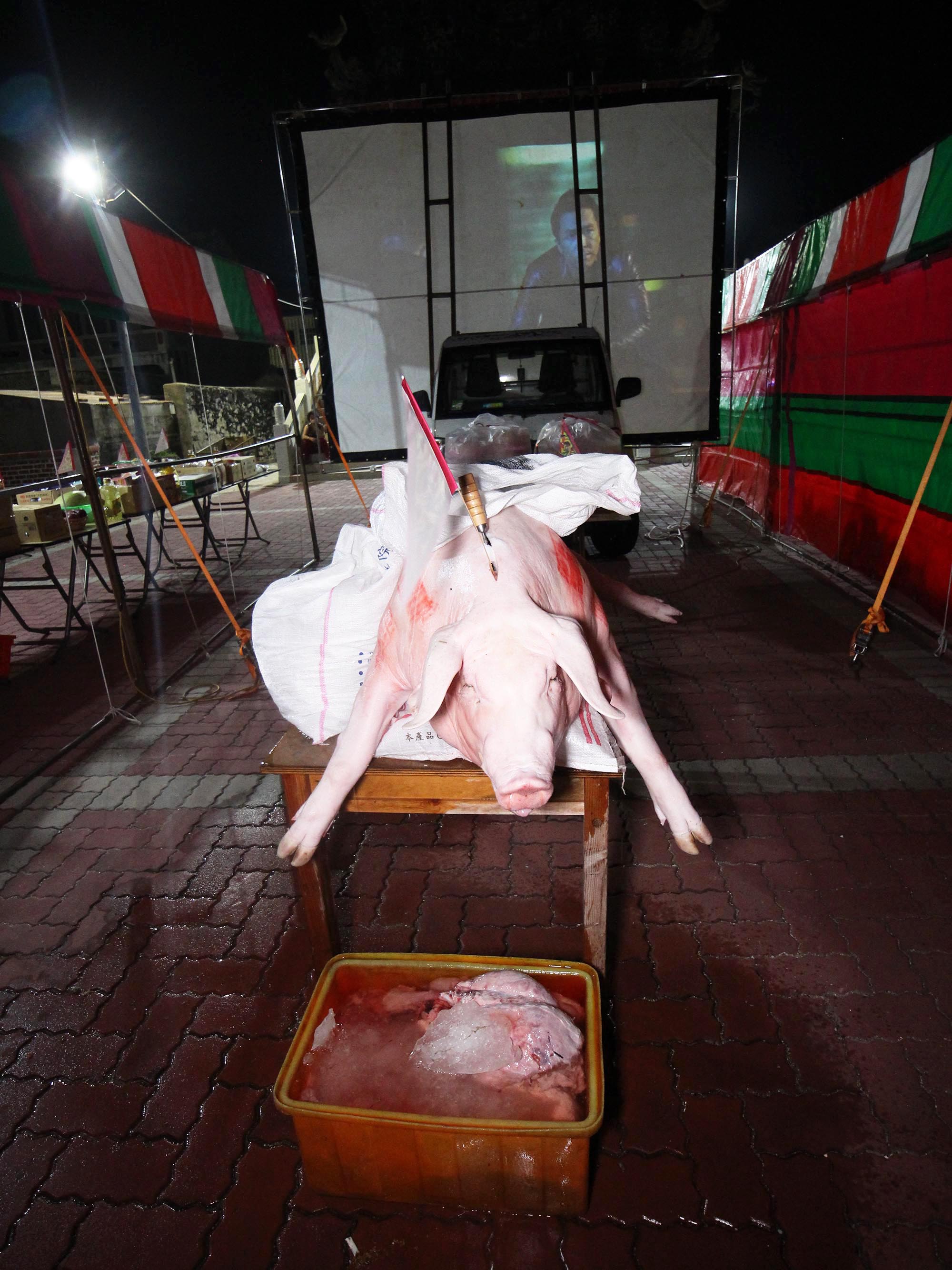 2020震義宮普渡(西嶼輪普)