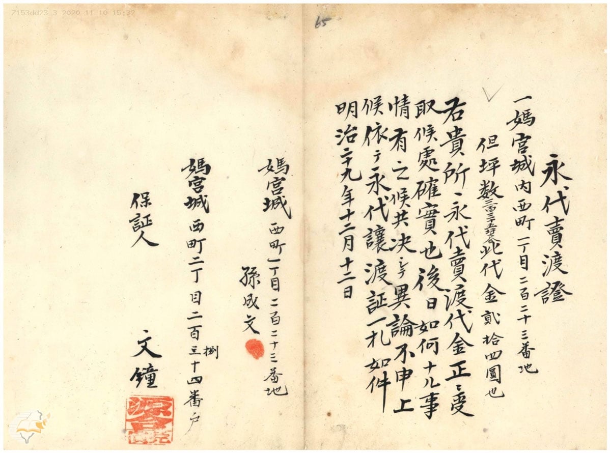 晚寒澎湖飄柳絮