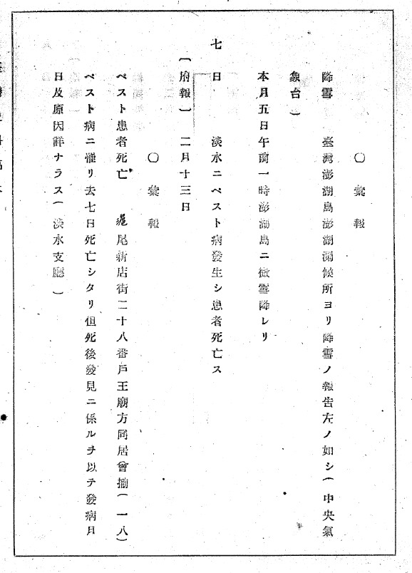 晚寒澎湖飄柳絮