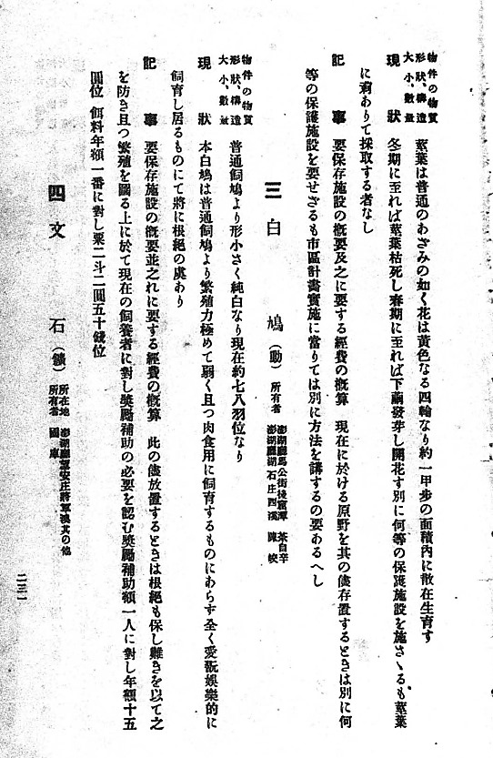 澎湖䳡鳩，食飽透東飛