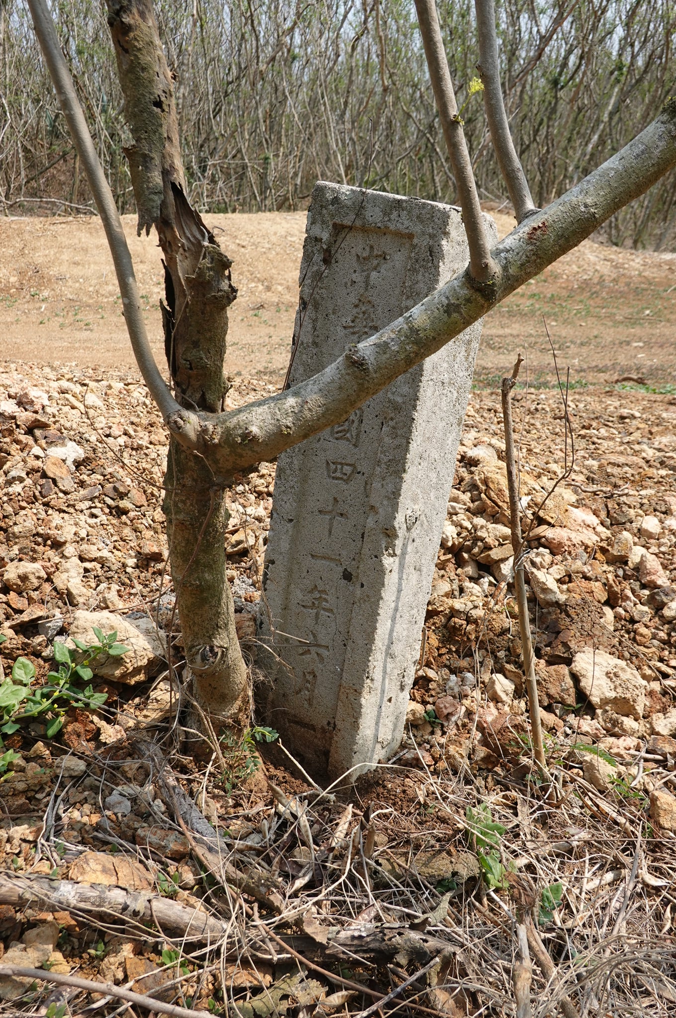 王屋至牛心山道路石界碑
