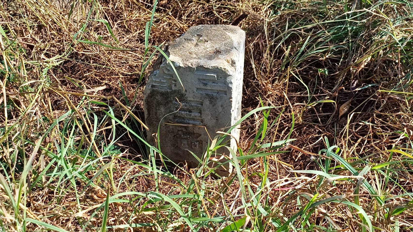 2024三角點陸補46號記錄