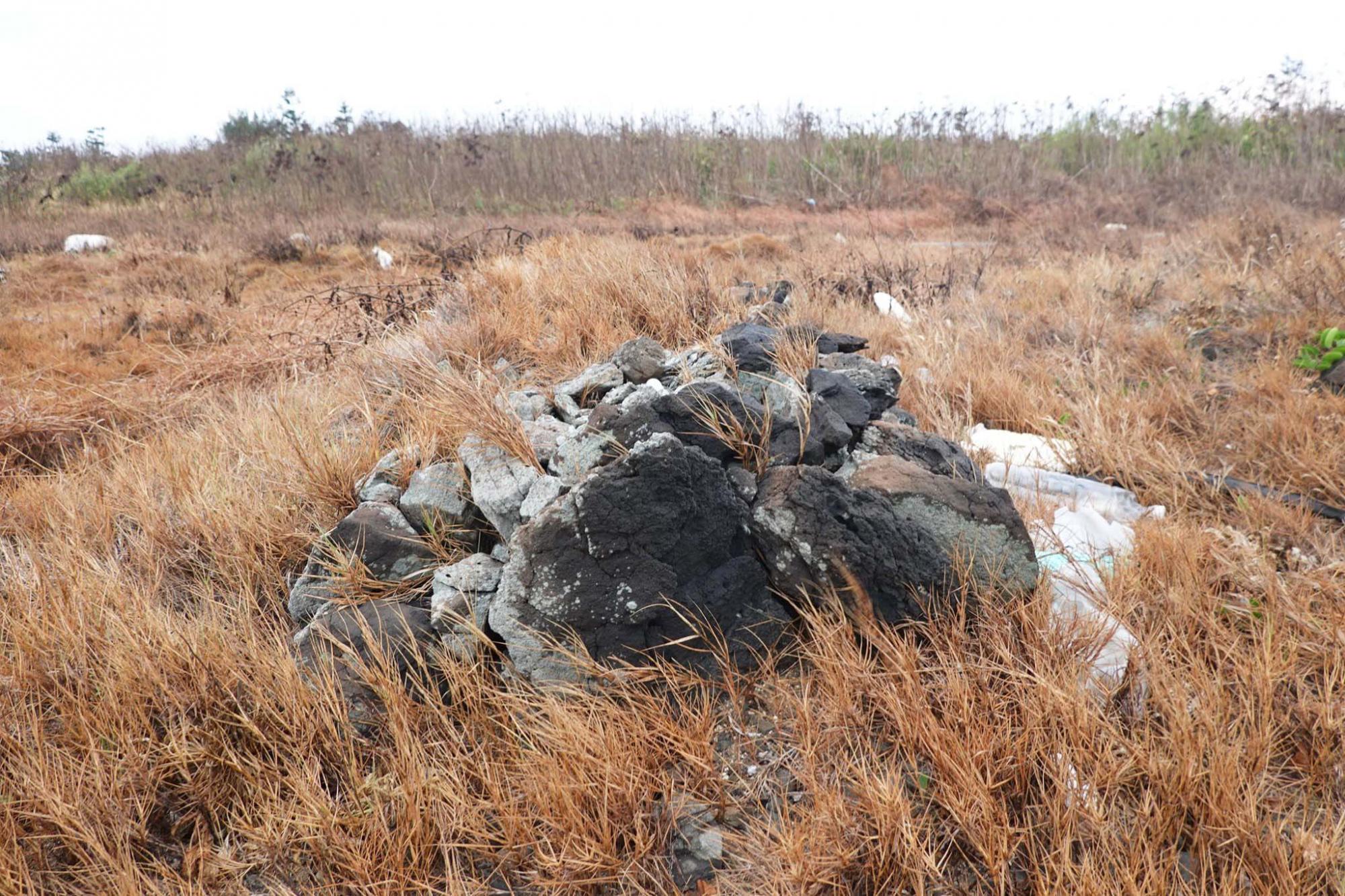 十八公祖紀念碑