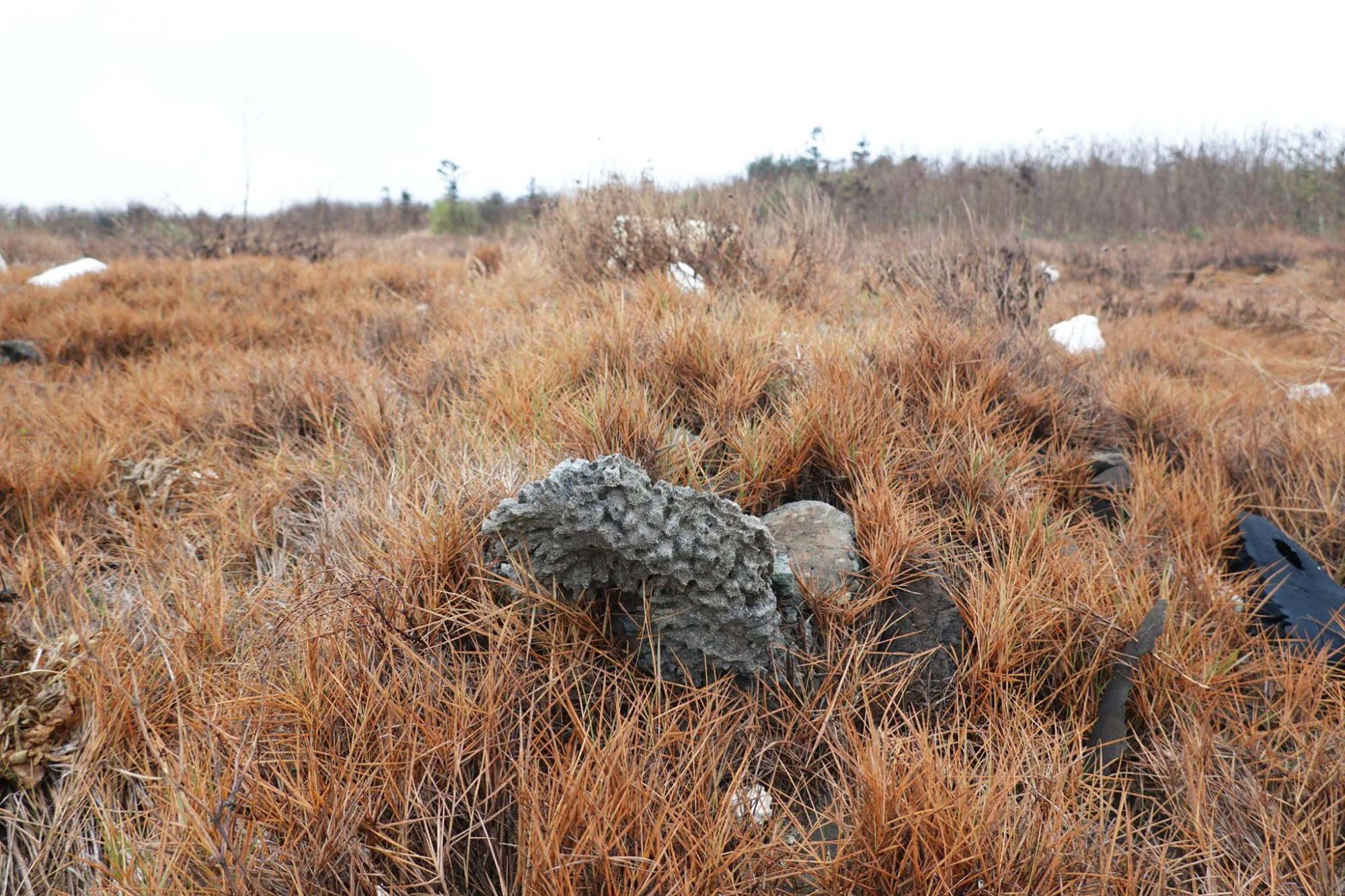 十八公祖紀念碑